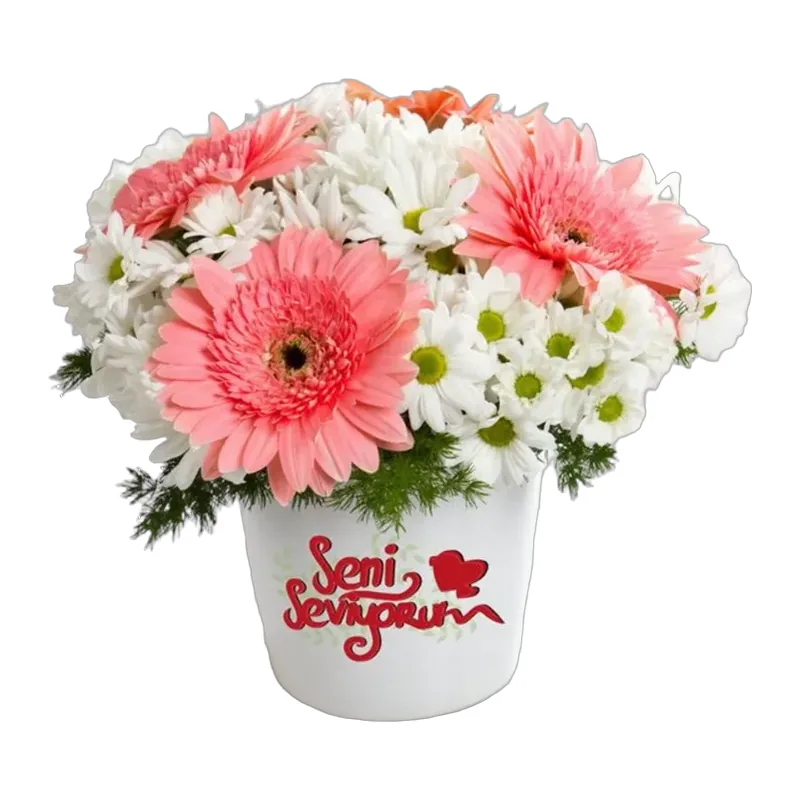 Seni Seviyorum Mesajlı Gerbera ve Papatya Aranjmanı