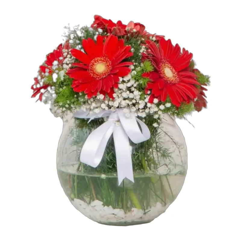 Fanus Camda Kırmızı Gerberalar